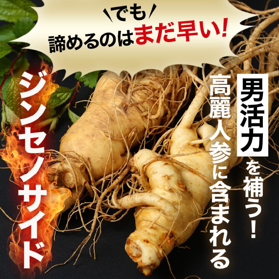 高麗人参 サプリ サプリメント 朝鮮人参 クラチャイダム バイアグラ