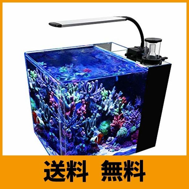 GankPike アクアリウムセット 超クリアガラス水槽 海水魚水槽 (容量 約31L)
