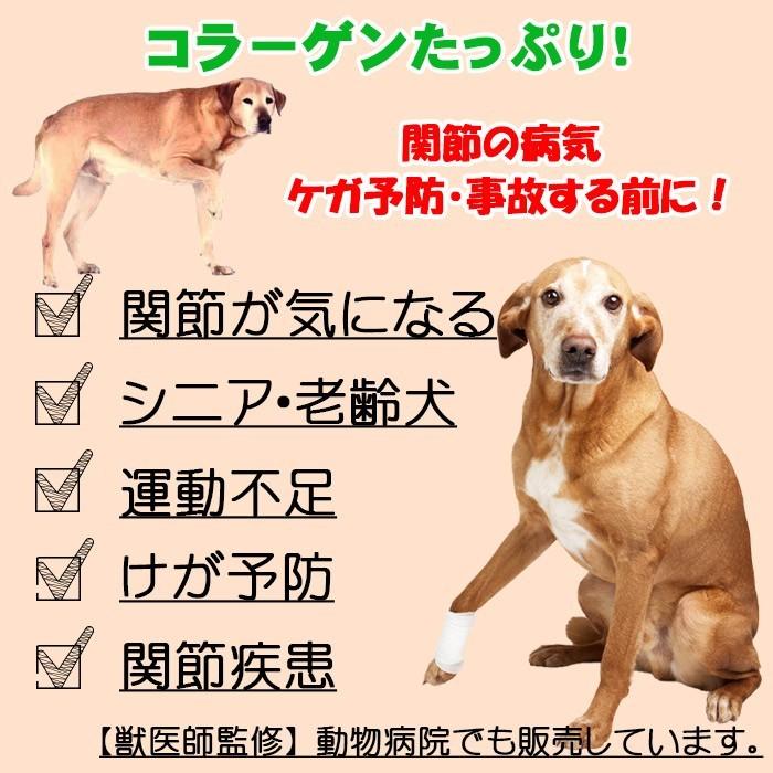 [sale! 5/27 09時まで]【獣医師監修】犬用 ナマコ粉末(キンコ) 90g コラーゲンの補給/関節に！ 【犬用 病院食 ドッグフード 無添加 国産 エゾシカ】｜north-gibier｜02