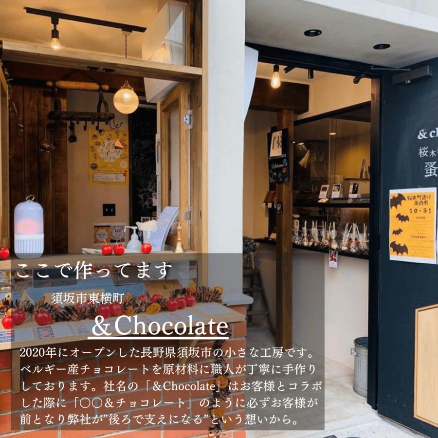 送料無料】トイプードル チョコレート ギフト 詰め合わせ