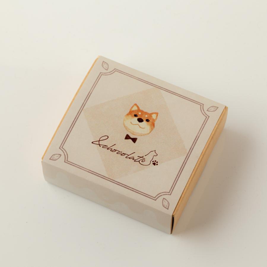 チョコ 犬 動物 2025 ワンボックス ホワイトデー お歳暮 お中元