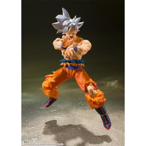 ドラゴンボール S.H.フィギュアーツ ドラゴンボールシリーズ ドラゴンボール S.H.フィギュアーツ ドラゴンボールシリーズ