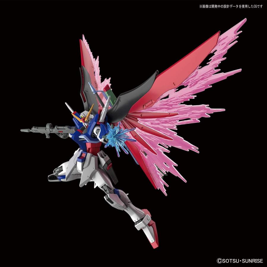 HGCE 機動戦士ガンダムSEED DESTINY デスティニーガンダム : NORTH