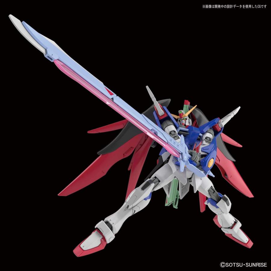 HGCE 機動戦士ガンダムSEED DESTINY デスティニーガンダム : NORTH