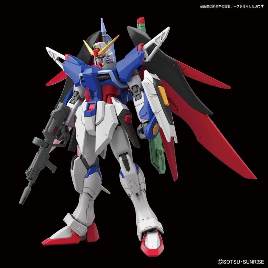 HGCE 機動戦士ガンダムSEED DESTINY デスティニーガンダム : NORTH