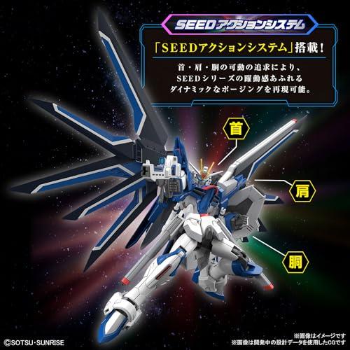 ガンダム HG 1/144 『機動戦士ガンダムSEED FREEDOM』 ライジング