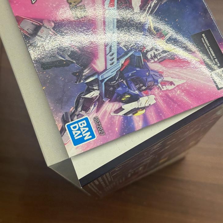 r*2様 MGSDデスティニーガンダム 訳ありジャンク品 ガンダム 【訳あり】MGSD 機動戦士ガンダムSEED DESTINY デスティニー