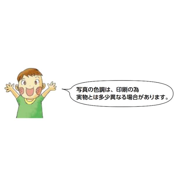 在庫確認可 創建 直送 36401 屋内用 ビニール カラーLアングル 等辺