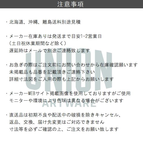 ユニオン（UNION） 在庫確認可 直送 UT-100Y-DCP アーキズム ドア 