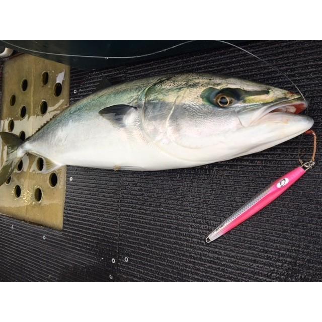 ジーソルト G Salt GORIJIG150g #29 アクアライムGZ : NorthCastヤフー