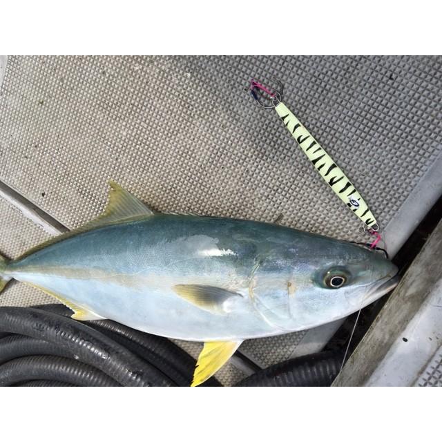 G Salt ゴリジグ150g Gブルー 限定カラー GORIJIG150g : NorthCast