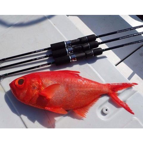 ASS アングラーズサポートサービス / RESTORING FORCE RF63MH