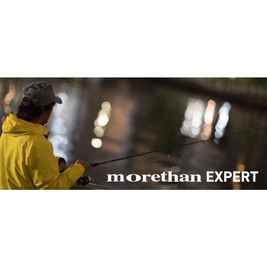 DAIWA（ダイワ） DAIWA / MORETHAN EXPERT AGS モアザンエキスパート
