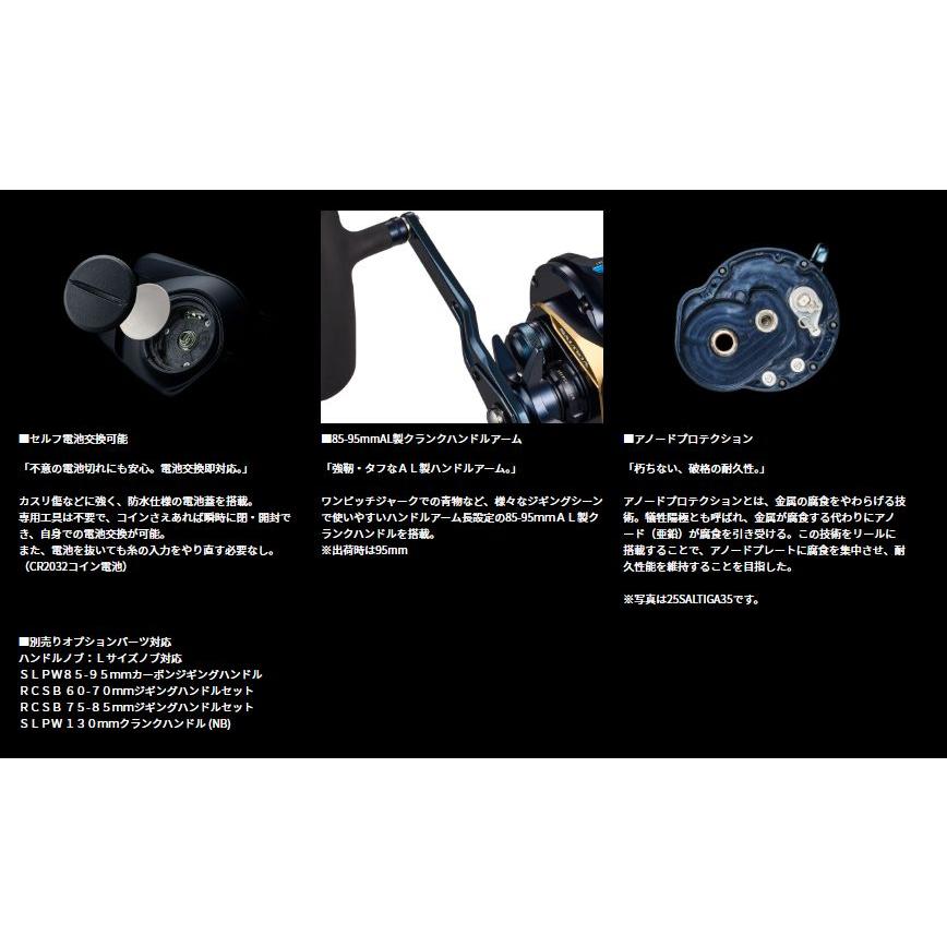 DAIWA（ダイワ） ソルティガIC 300H-SJ-C 300HL-SJ-C ベイトリール