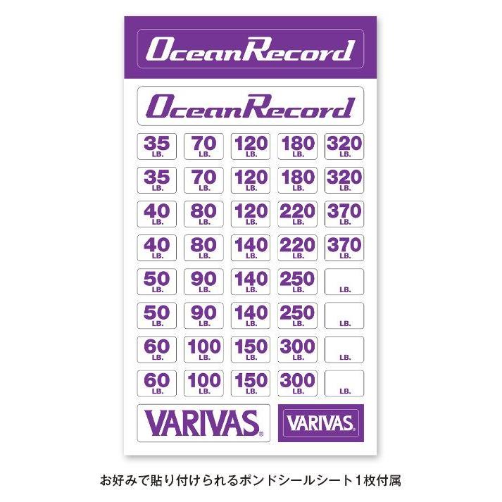 オーシャンレコードリーダーポーチ VAAC-48 バリバス VARIVAS