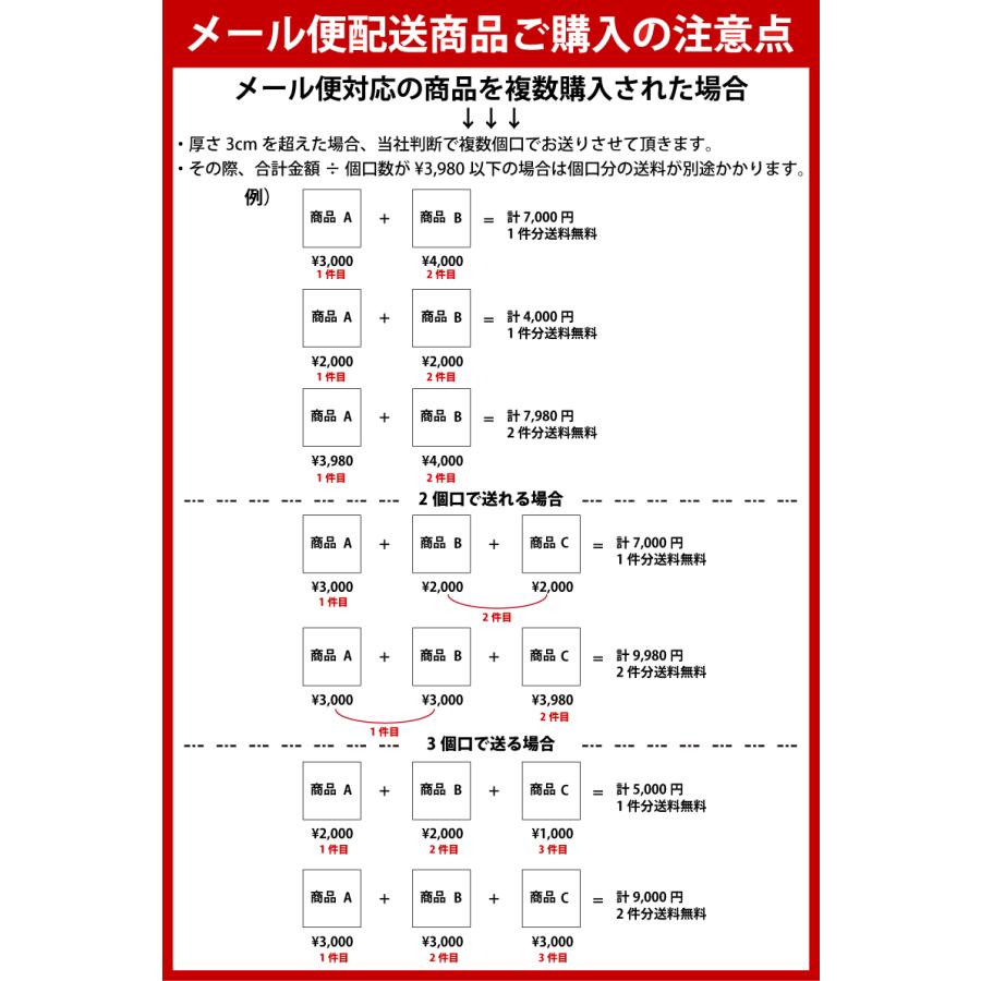 新作 ノースフェイス  TNF キー キーパー TNF KEY KEEPER キーホルダー カラビナ NN32434 メンズ レディース｜northfeel-apparel｜08