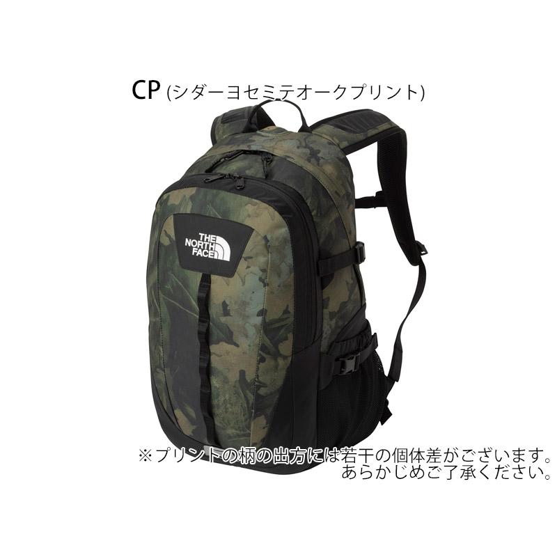 THE NORTH FACE（ザ ノースフェイス） THE NORTH FACE NM72302 ホット