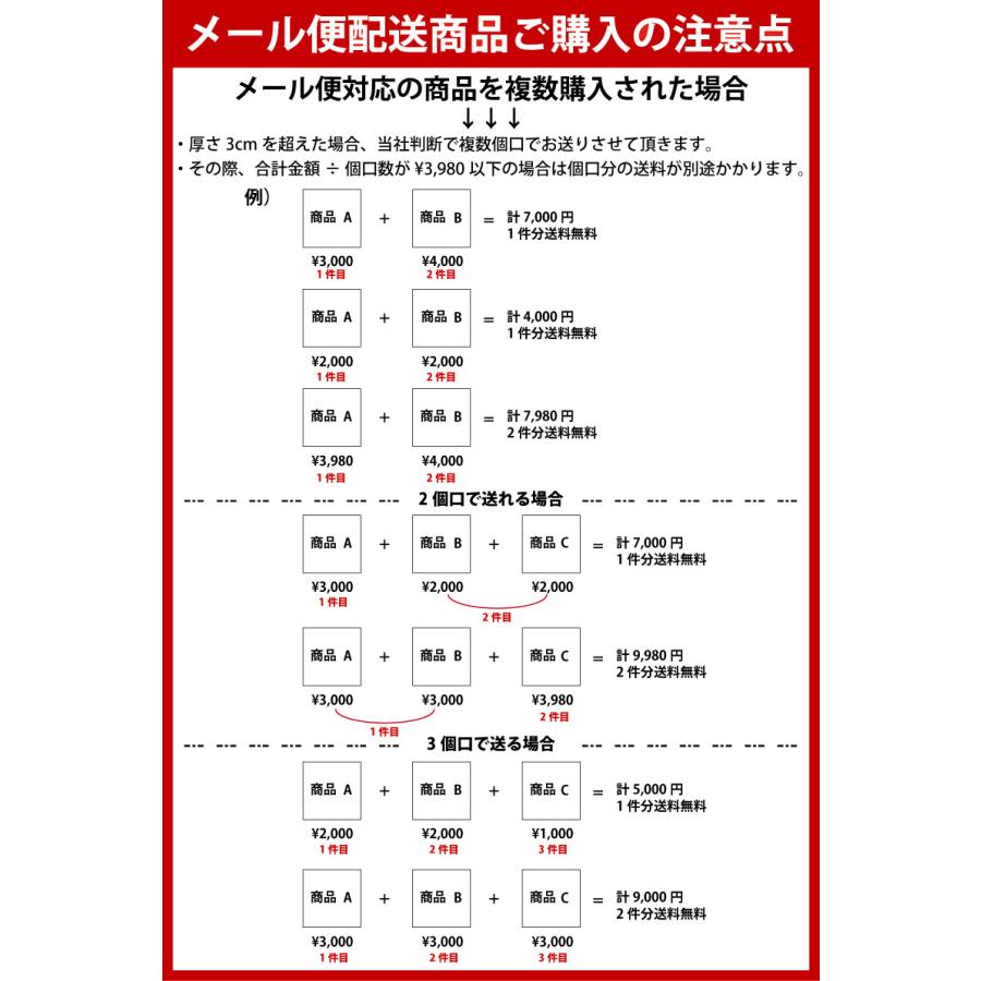 THE NORTH FACE（ザ ノースフェイス） セールザ・ノース・フェイス L/S