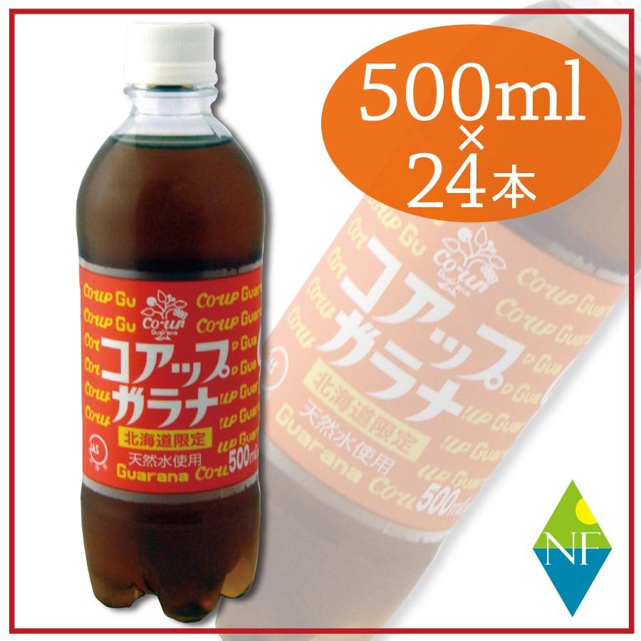 北海道限定 コアップガラナ 500ml×24本｜northfoods