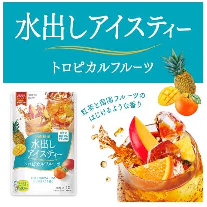 日東紅茶 水出しアイスティー 500ml用(10袋入) ×選べる24個セット(同