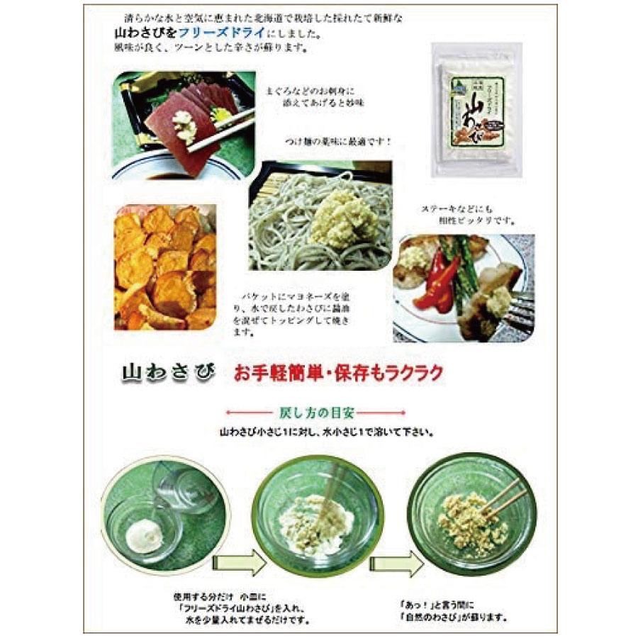 北海蝦夷 山わさび 18g ×20袋セット（フリーズドライ・粉末タイプ） 【メール便 送料無料】TKSタングロンの画像