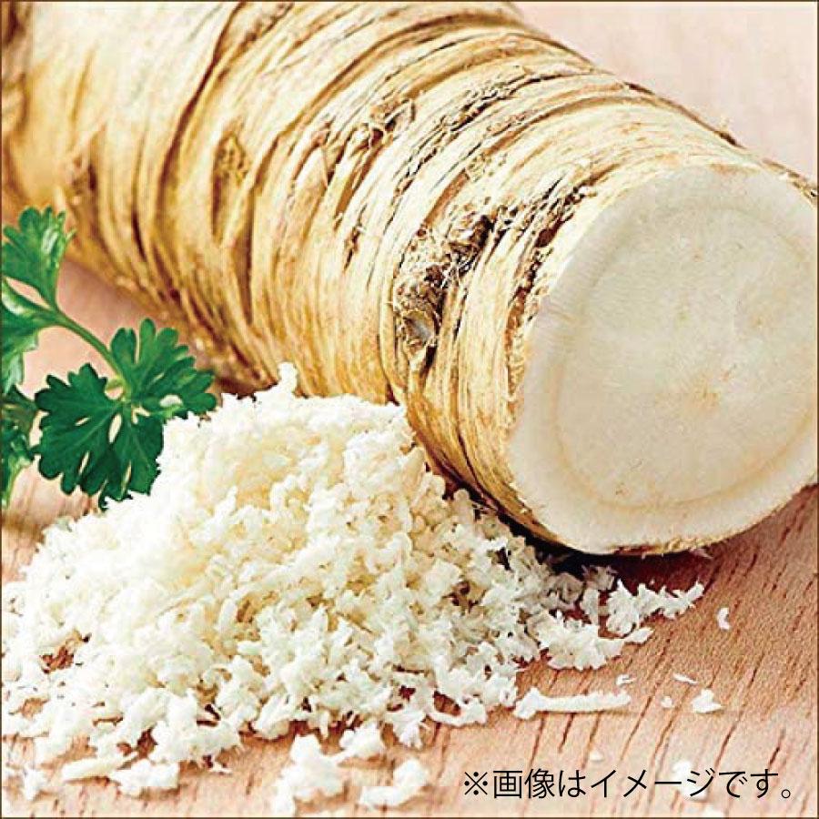 北海蝦夷 山わさび 18g ×20袋セット（フリーズドライ・粉末タイプ） 【メール便 送料無料】TKSタングロンの画像