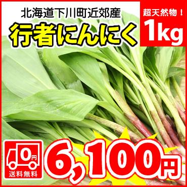 送料無料》スタッフ自ら下川町近郊の山奥で収穫した超天然行者にんにく
