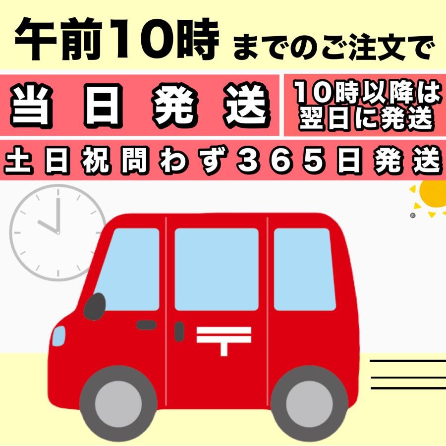 森永製菓 塩分プラス in タブレット グレープ味 ぶどう 4袋 100