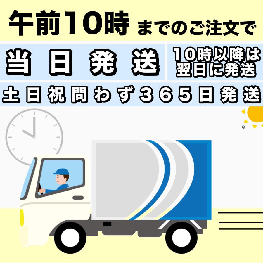 INTEX インテックス フィルターポンプ プール ポンプ 浄水 ろ過 家庭用プール 爆買 | INTEX | 03