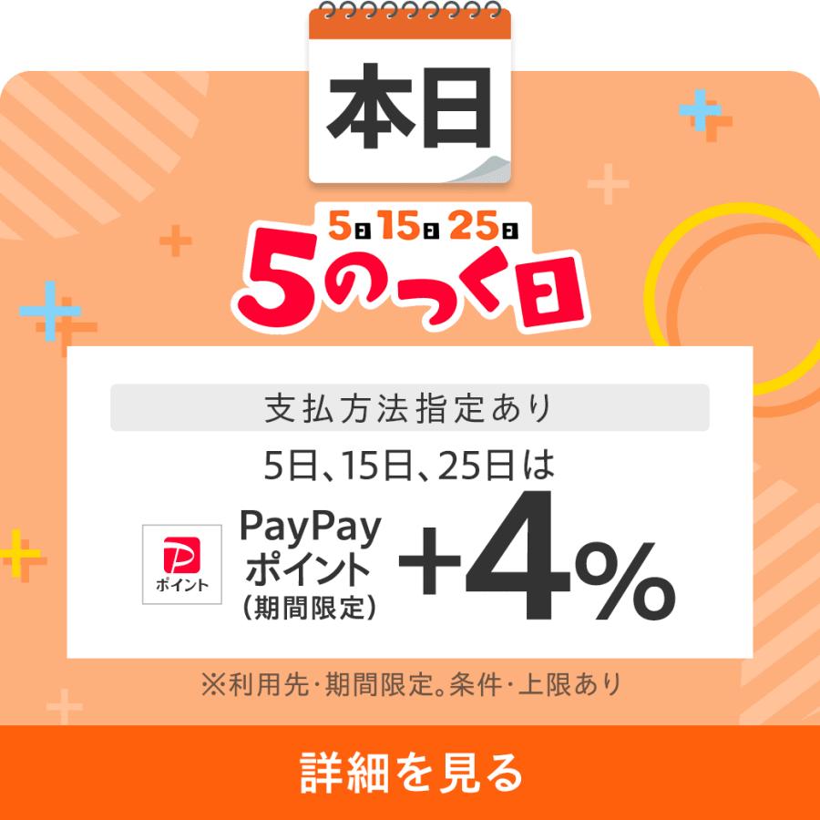 ノートン（Norton） 【5のつく日先着150名限定クーポン】 セキュリティ