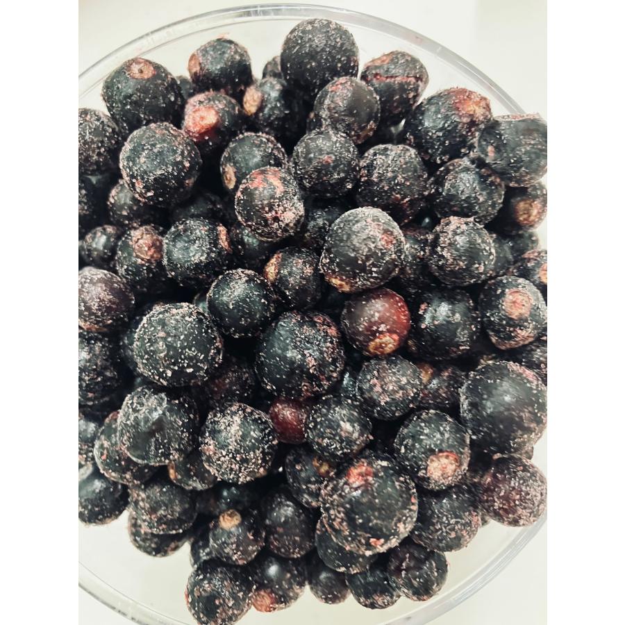 カシス冷凍 ５キロ KIMONO FRUITS】冷凍カシス 5kg（1000g×5）（セルビア産または