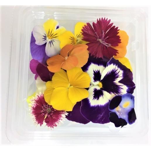エディブルフラワー MIX（水耕栽培、徳島産） クリーンな閉鎖型植物