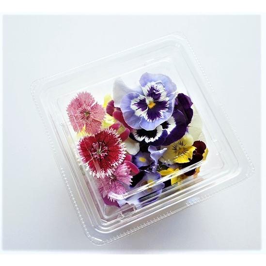 エディブルフラワー MIX（水耕栽培、徳島産） クリーンな閉鎖型植物