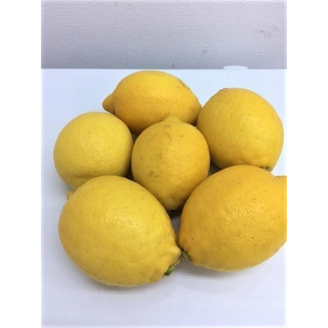 KIMONO FRUITS】冷凍レモン皮（国産）10kg（1000g×10） 冷凍瀬戸内