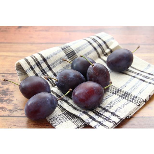 KIMONO FRUITS】冷凍プルーン(長野産)5kg(1000g×5)国産 KIMONO FRUITS】冷凍プルーン(長野産)5kg(1000g×5)国産