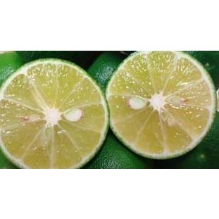 KIMONO FRUITS】冷凍すだち（徳島産）1/4カット 串切り 16粒×5袋