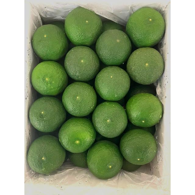 徳島産すだち 酢橘 1kg/袋 【消費税込み】 L〜3Lサイズ 地元 徳島より