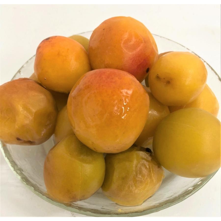 KIMONO FRUITS】国産冷凍南高梅または、古城梅（和歌山産）冷凍梅