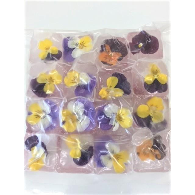 市場 愛知県 食用花 花 誕生日 スイーツ 産 0g 金魚草 きんぎょ 飾り 料理 入れ物含む