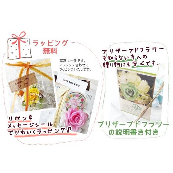 プリザーブドフラワー ハロウィン 実りのフラワーバケツ【送料無料】 |  | 05