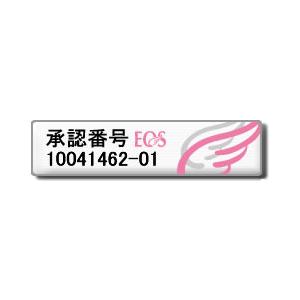 ジェイソンウィンターズティー 2個セット JASONWINTERSTEA 日本