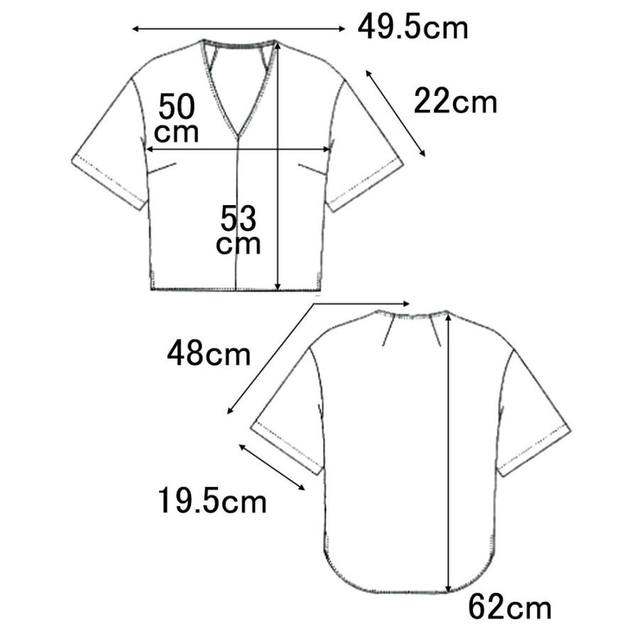 Vネック ブラウス トップス レディース 半袖 Vスキッパー プチプラ 抜け感 高見え カジュアル 清涼感 |  | 15