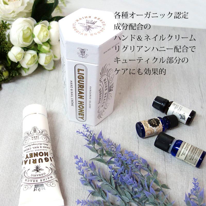 マインビーチ ハンド＆ネイルクリーム リグリアンハニー 100ml MAINE BEACH ハンドクリーム 爪保護 保湿 潤い 香り 癒し 箱付き | MAINE BEACH | 02