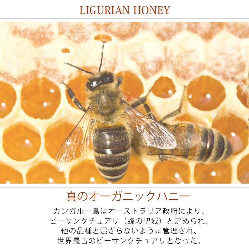 マインビーチ ハンド＆ボディウォッシュ リグリアンハニー 500ml MAINE BEACH 液体石鹸 保湿 香り 潤い コスメ 美容 | MAINE BEACH | 04