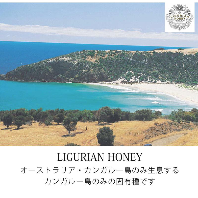 マインビーチ ハンド＆ボディウォッシュ リグリアンハニー 500ml MAINE BEACH 液体石鹸 保湿 香り 潤い コスメ 美容 | MAINE BEACH | 06