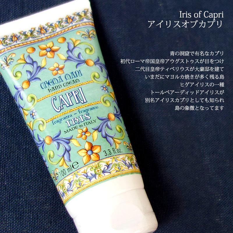 Rudy ルディ ル・マヨルカ ハンドクリーム アイリスオブカプリ 100ml アロマ 保湿 香り 潤い HC | RUDY | 02
