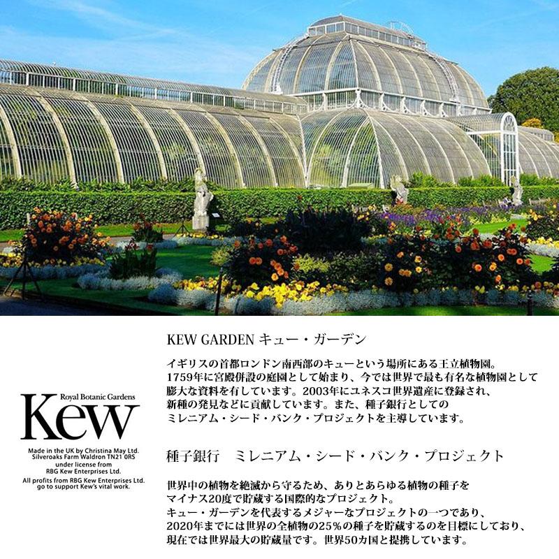 イングリッシュソープカンパニー シアソープ ベルガモット＆ジンジャー 石鹸 オーガニック 保湿 美肌 コスメ 美容 | THE ENGLISH SOAP COMPANY | 04