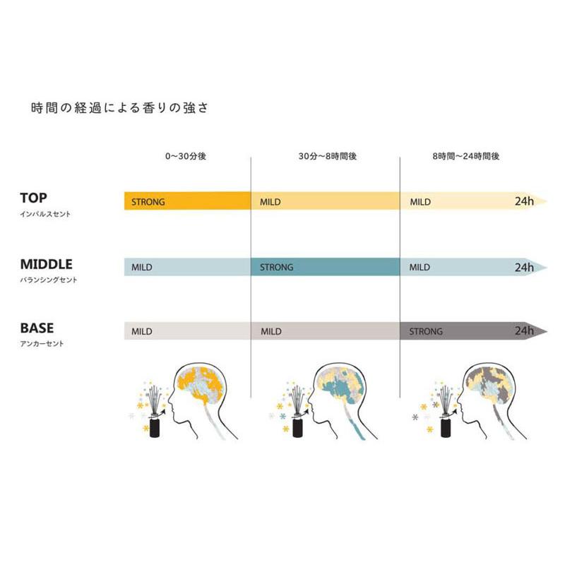 アシュレイ＆バーウッド リードディフューザー 香り 200ml フレグランススティック リラックス イギリス製 芳香剤 |  | 04