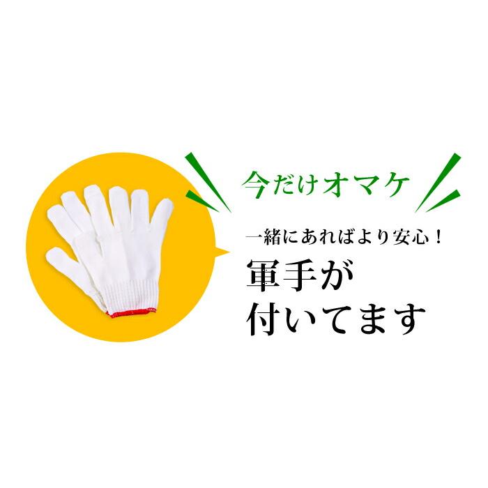 避難はしご 2階 4m 災害用 つり下げはしご 避難器具 梯子 避難用 救援はしご 災害グッズ | ONE STEP | 14