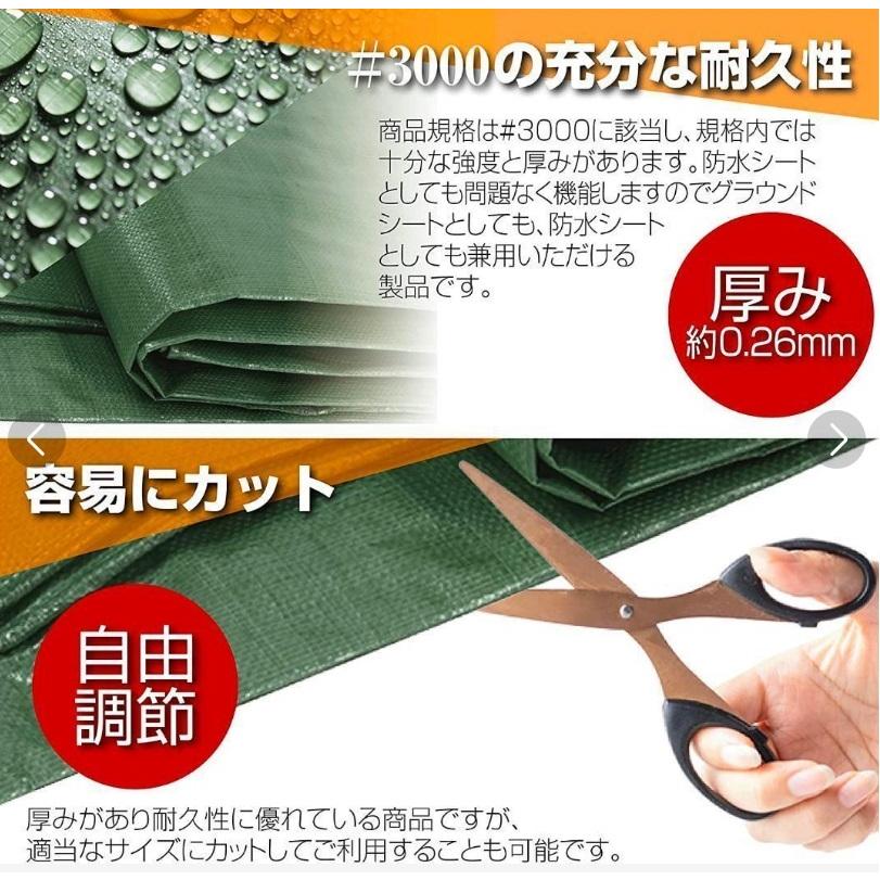 グリーンシート #3000 キャンプ ハトメ20個付き 3.6m×5.4m 防水 厚手 カット可 ブルーシート レジャーシート ビニールシート 防災 災害対策 #1091|notify|05